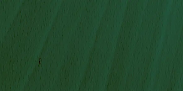 Hêtre teinté vert